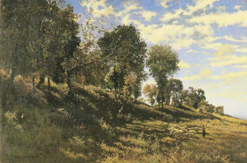 Gregge al pascolo